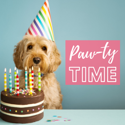 Celebrate Every Milestone with your Pets