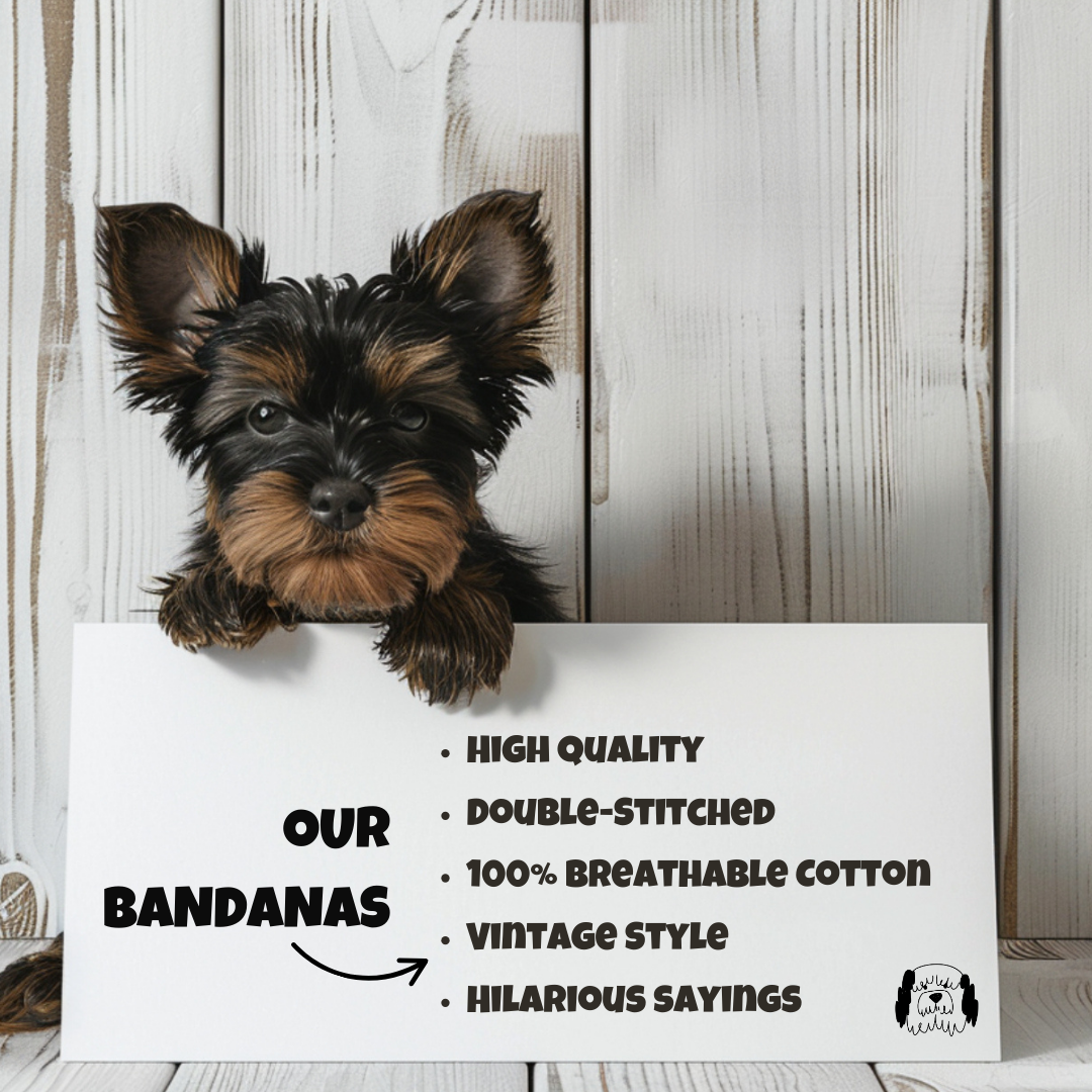 Sparky & Co Chicago Pro Sports Team Pet Bandana