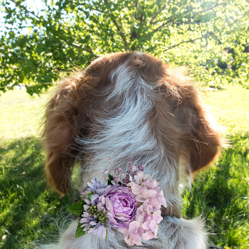 Sparky & Co Garden Party Collection Collar Flower Corsage Accessory