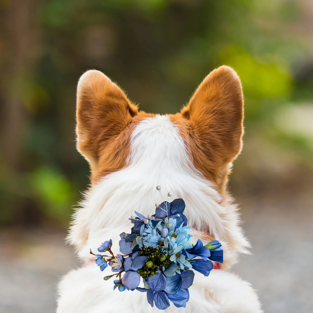 Sparky & Co Garden Party Collection Collar Flower Corsage Accessory