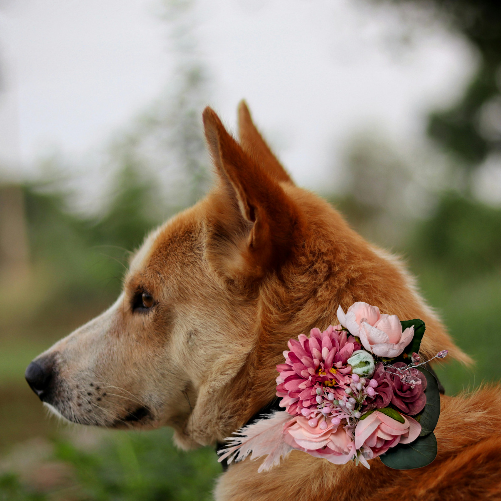 Sparky & Co Garden Party Collection Collar Flower Corsage Accessory