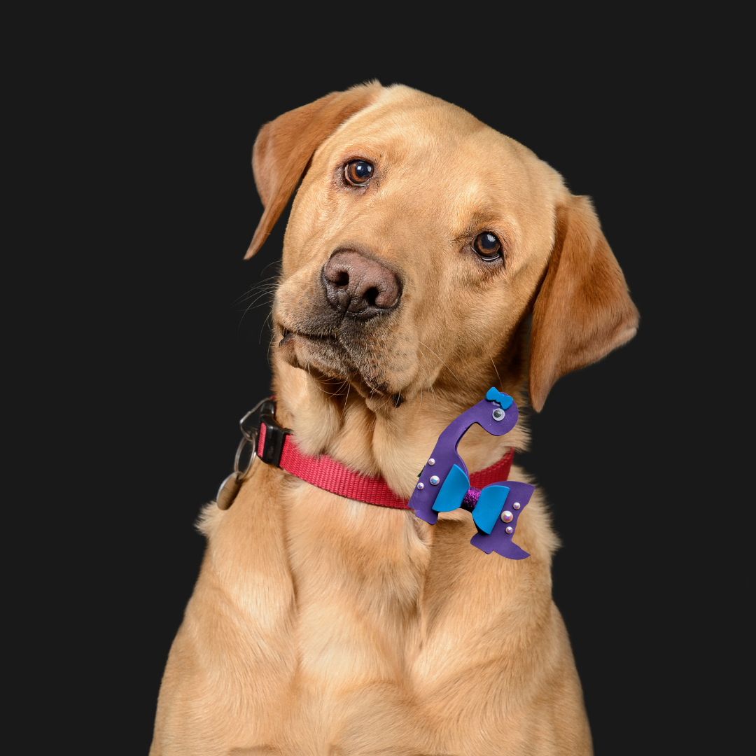 Dino Bow Handmade Spring Collection Collar Charm