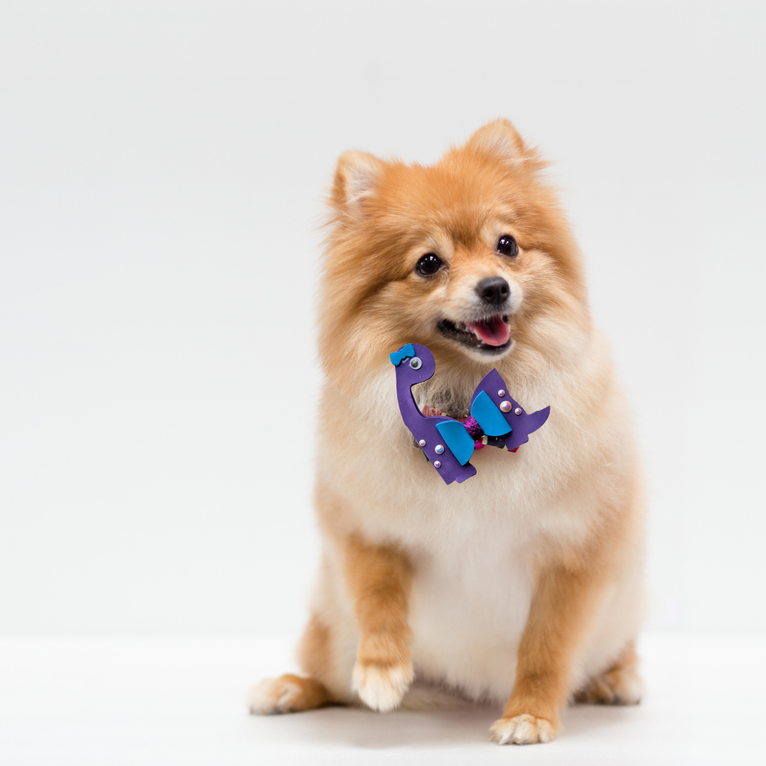 Dino Bow Handmade Spring Collection Collar Charm