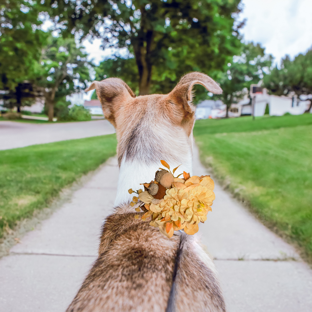 Fall Floral Pet Bow