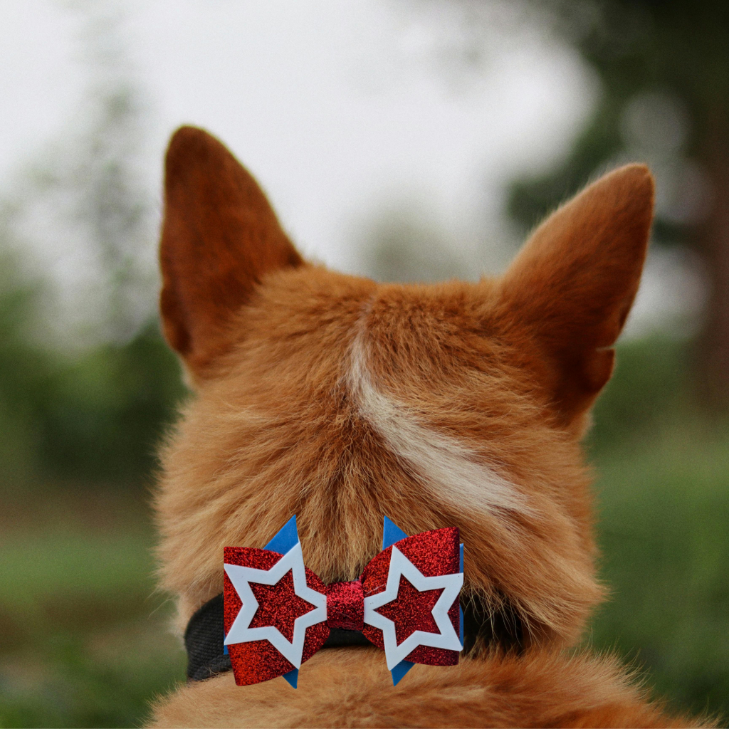 Sparky & Co Star Spangled Bow Collection Handmade Collar Charm