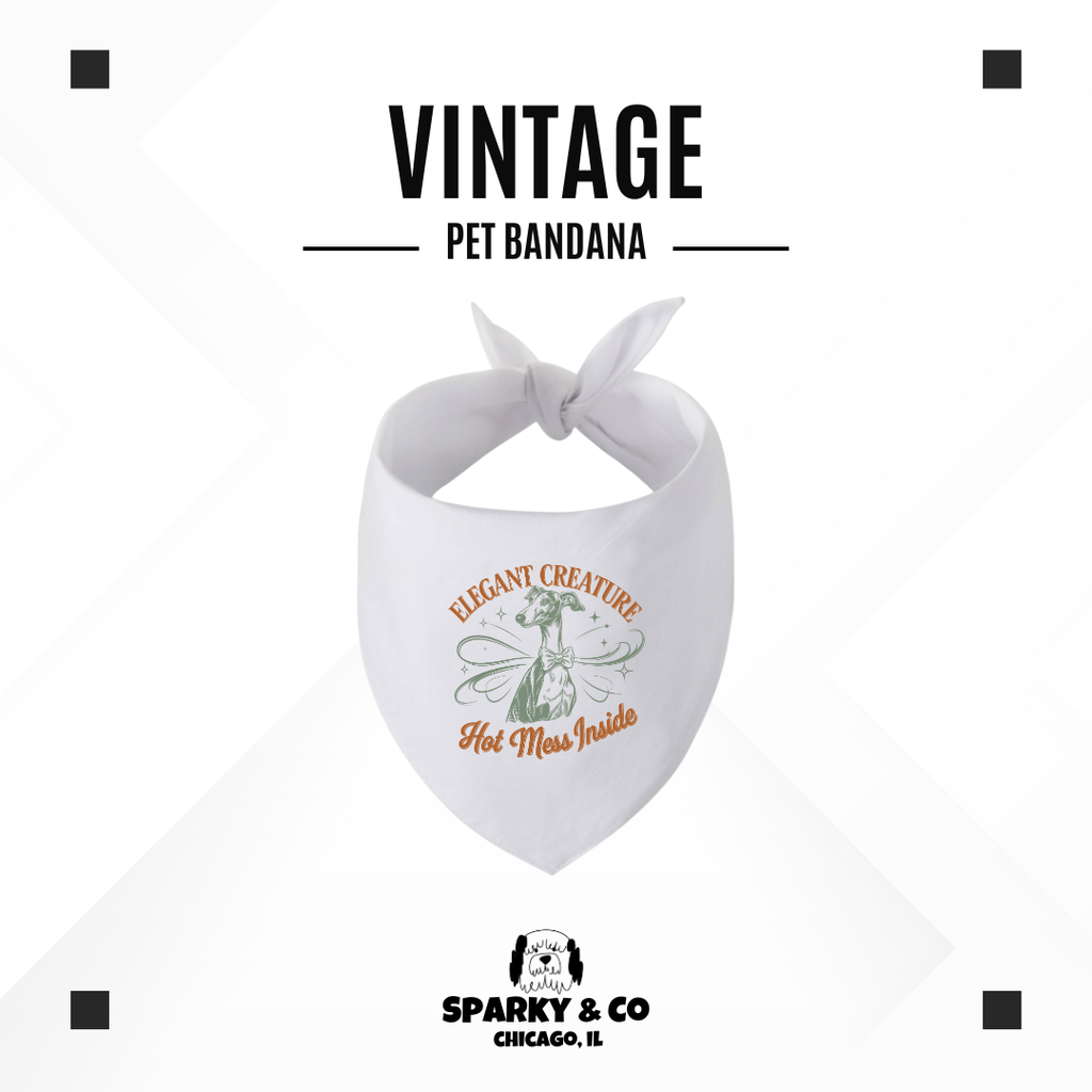 Sparky & Co Vintage Breed Graphic Pet Bandana
