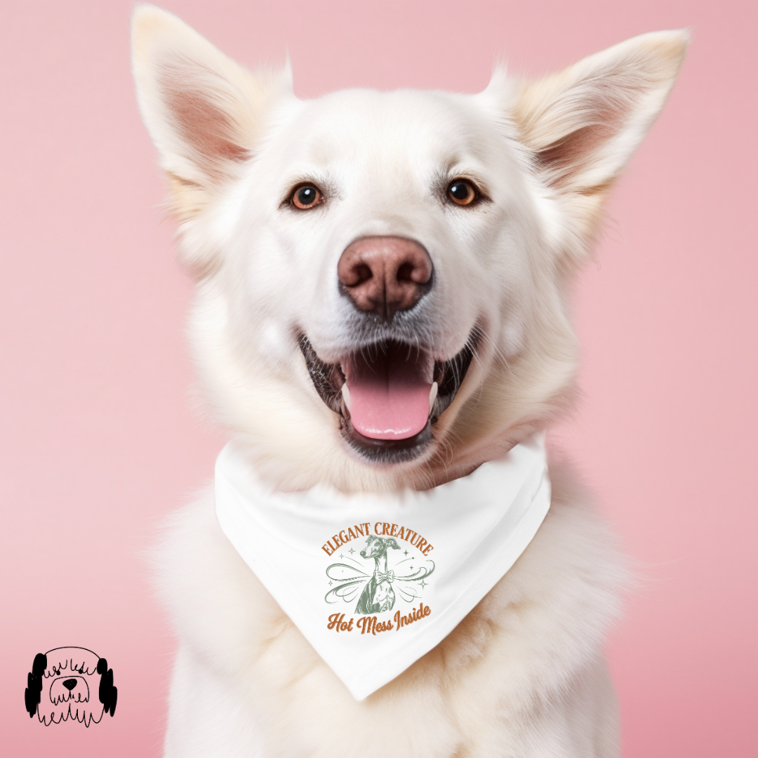 Sparky & Co Vintage Breed Graphic Pet Bandana