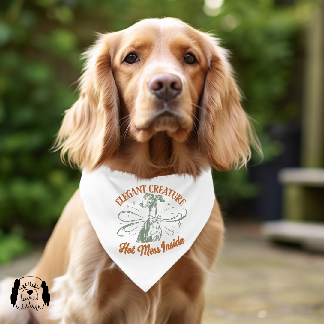 Sparky & Co Vintage Breed Graphic Pet Bandana