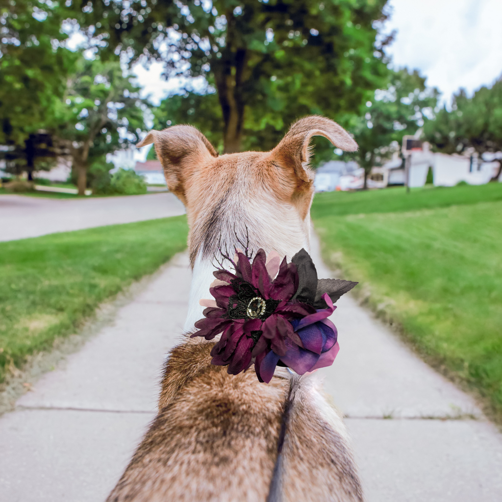 Halloween Floral 3D Pet Bow for Dogs & Cats