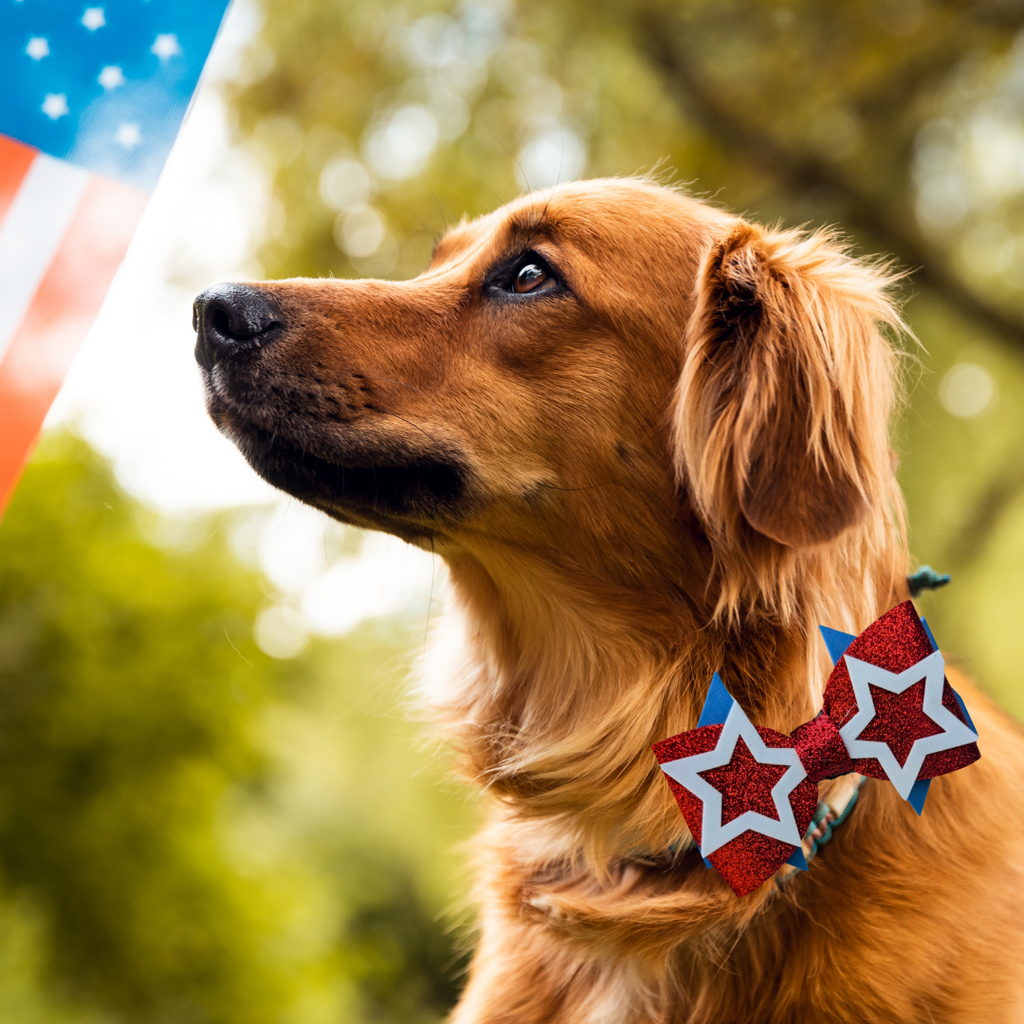 Sparky & Co Star Spangled Bow Collection Handmade Collar Charm