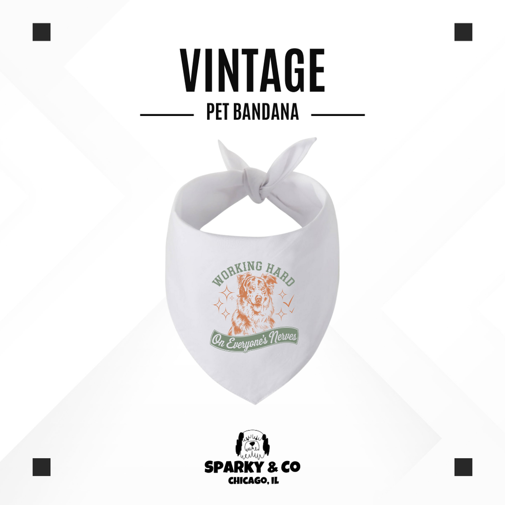 Sparky & Co Vintage Breed Graphic Pet Bandana