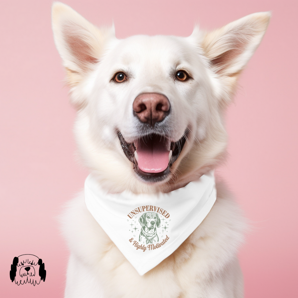 Sparky & Co Vintage Breed Graphic Pet Bandana