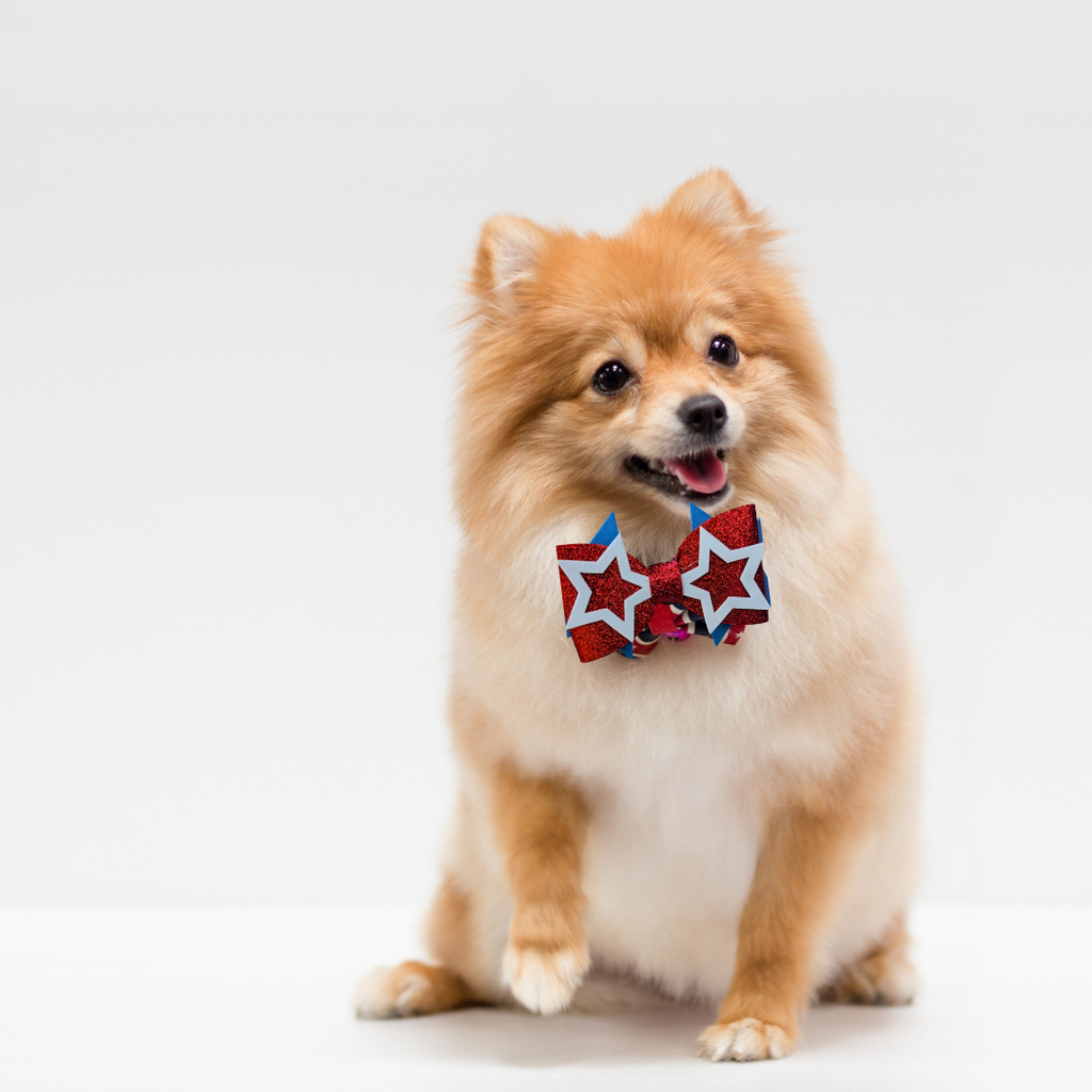 Sparky & Co Star Spangled Bow Collection Handmade Collar Charm
