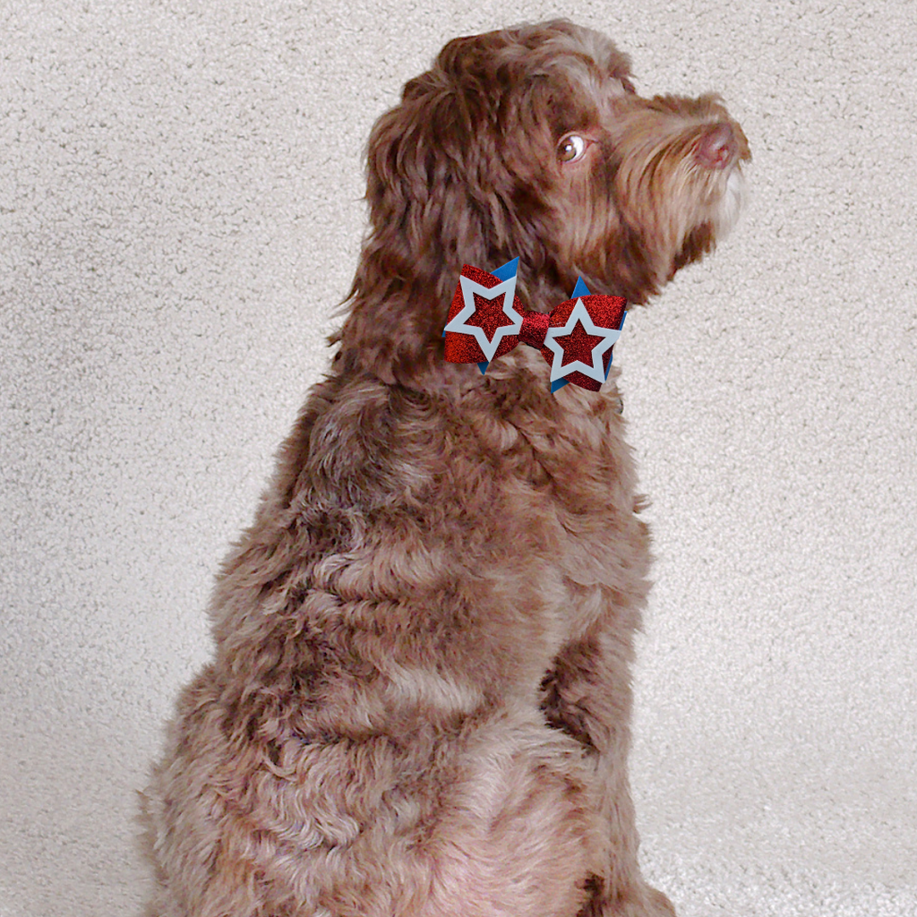Sparky & Co Star Spangled Bow Collection Handmade Collar Charm