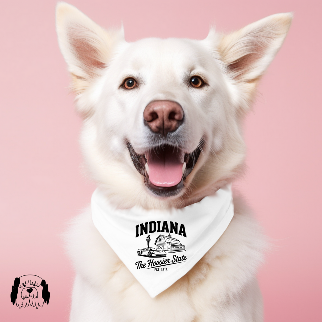 Sparky & Co Regional Graphic Pet Bandana