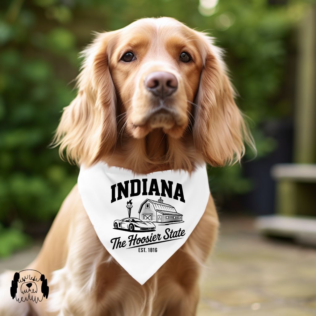 Sparky & Co Regional Graphic Pet Bandana