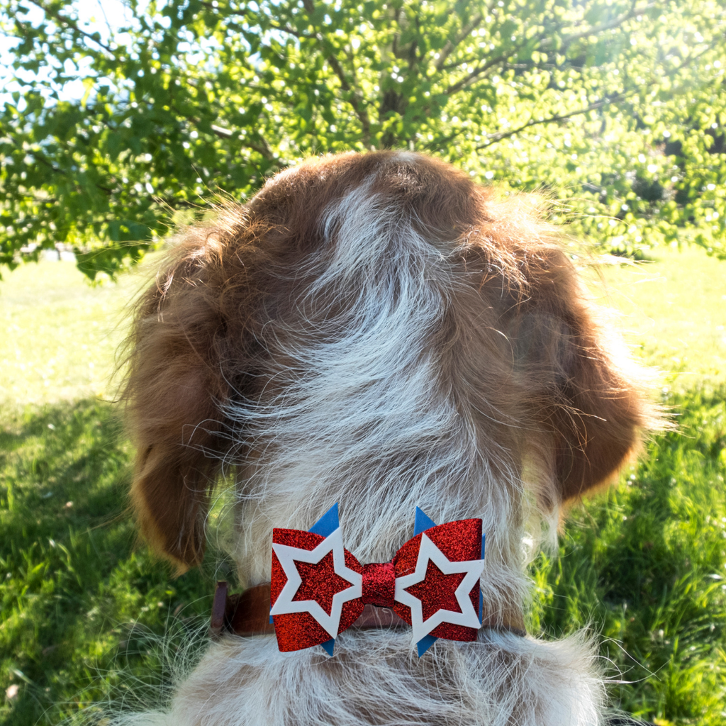 Sparky & Co Star Spangled Bow Collection Handmade Collar Charm