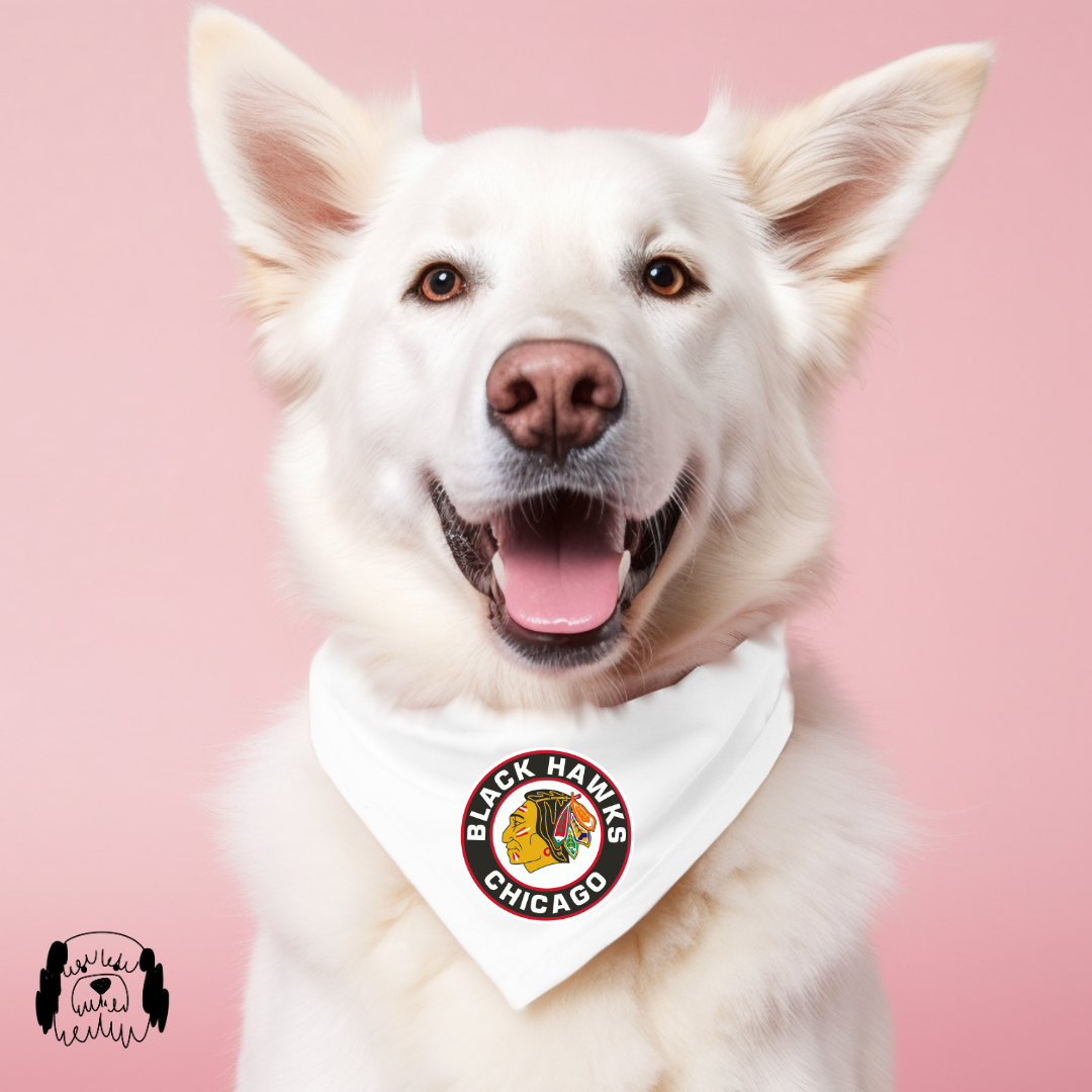 Sparky & Co Chicago Pro Sports Team Pet Bandana