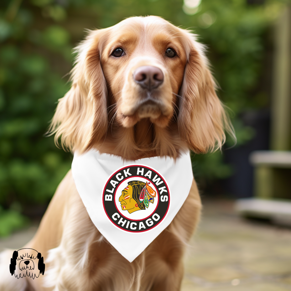 Sparky & Co Chicago Pro Sports Team Pet Bandana