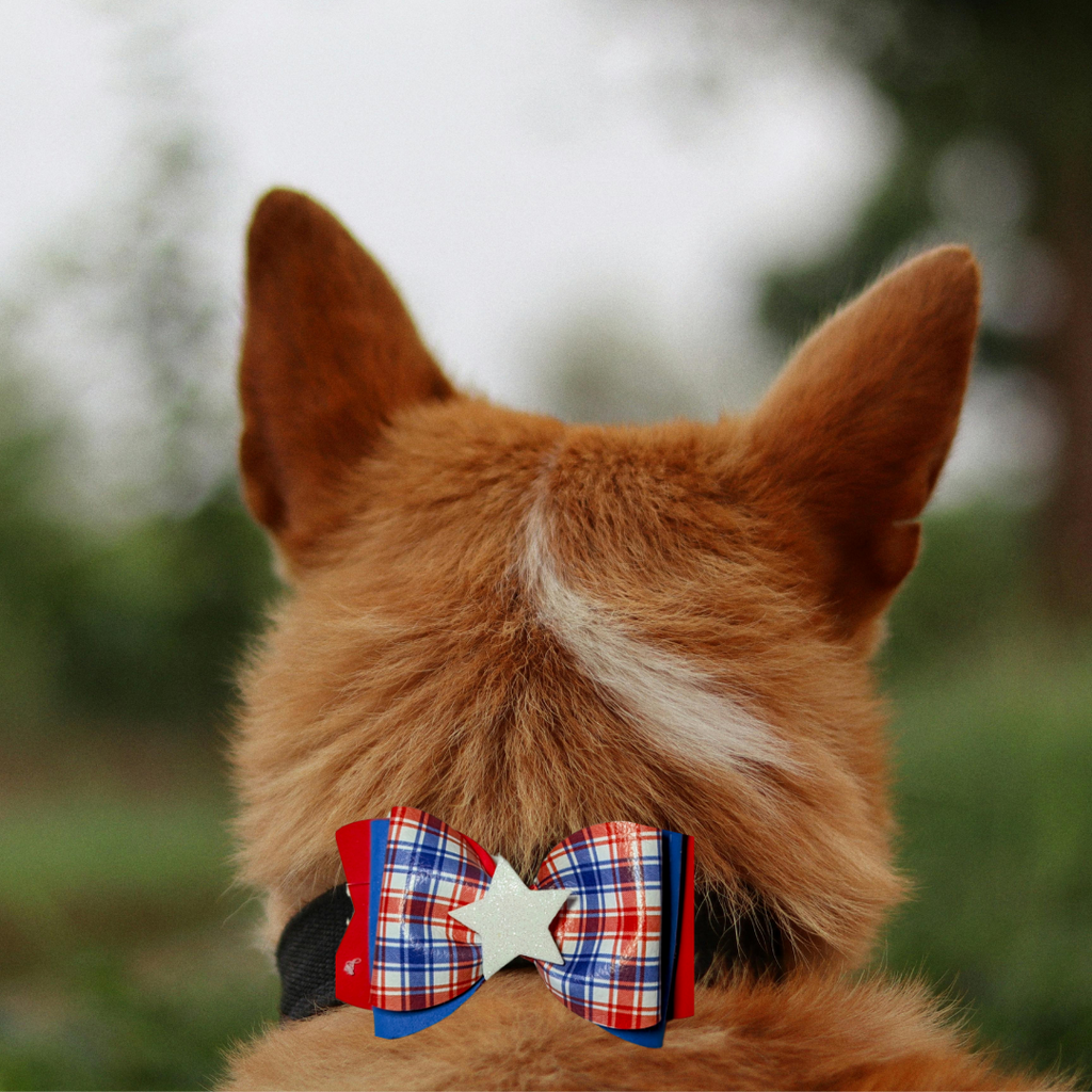 Sparky & Co Star Spangled Bow Collection Handmade Collar Charm