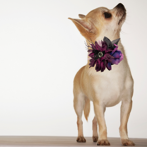 Halloween Floral 3D Pet Bow for Dogs & Cats