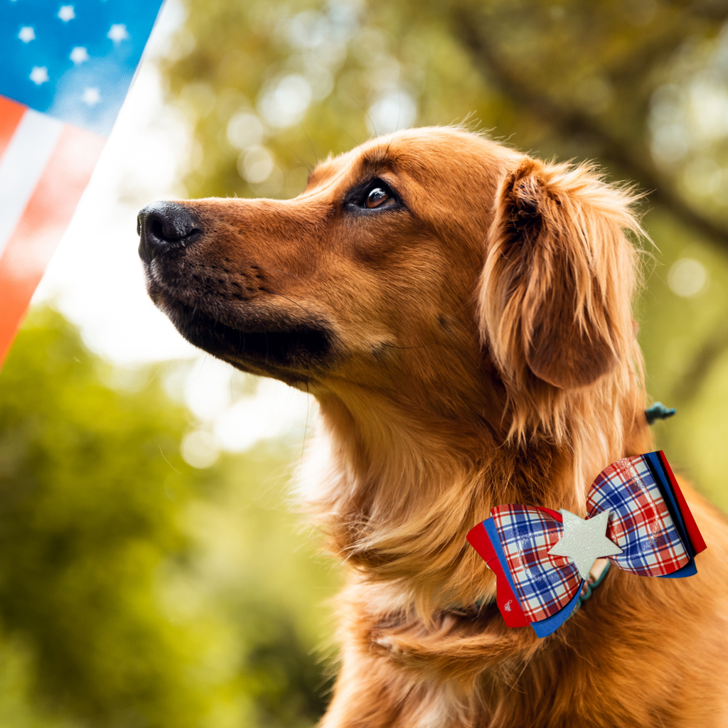 Sparky & Co Star Spangled Bow Collection Handmade Collar Charm