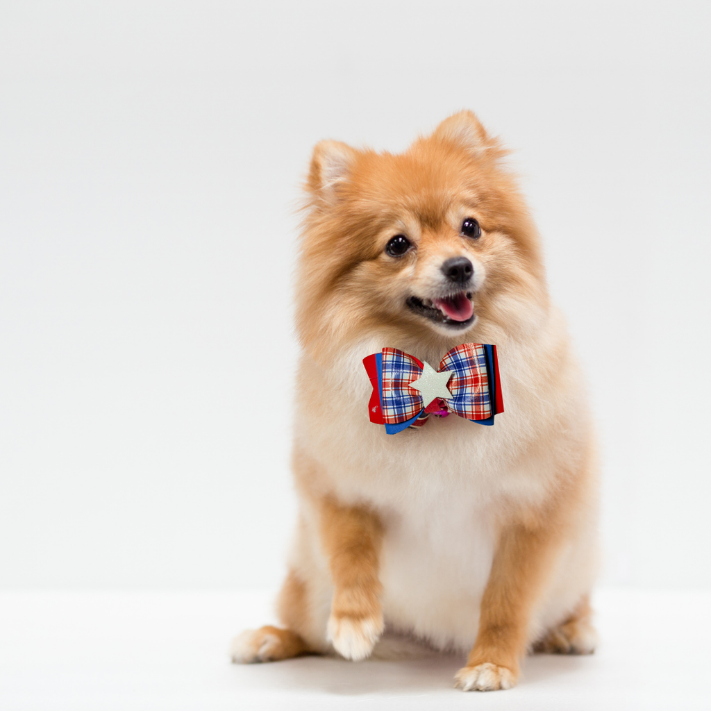 Sparky & Co Star Spangled Bow Collection Handmade Collar Charm