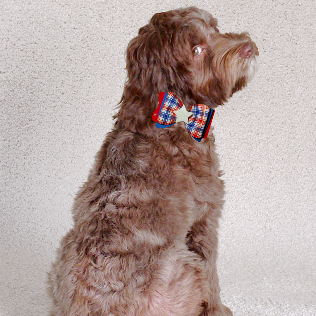 Sparky & Co Star Spangled Bow Collection Handmade Collar Charm