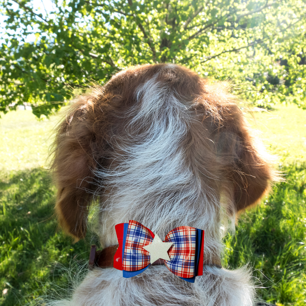 Sparky & Co Star Spangled Bow Collection Handmade Collar Charm