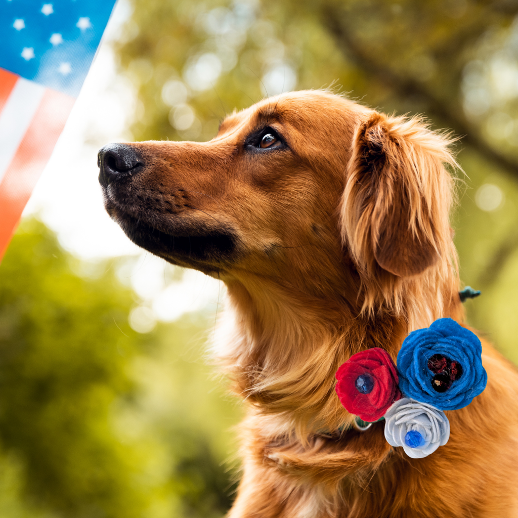 Sparky & Co Star Spangled Bow Collection Handmade Collar Charm