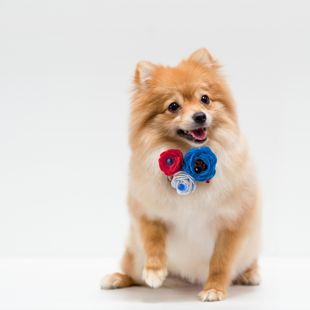 Sparky & Co Star Spangled Bow Collection Handmade Collar Charm