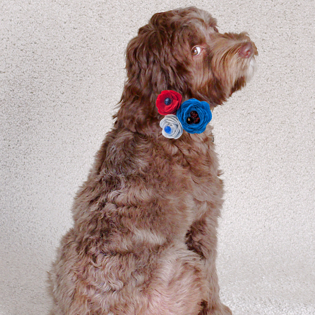 Sparky & Co Star Spangled Bow Collection Handmade Collar Charm