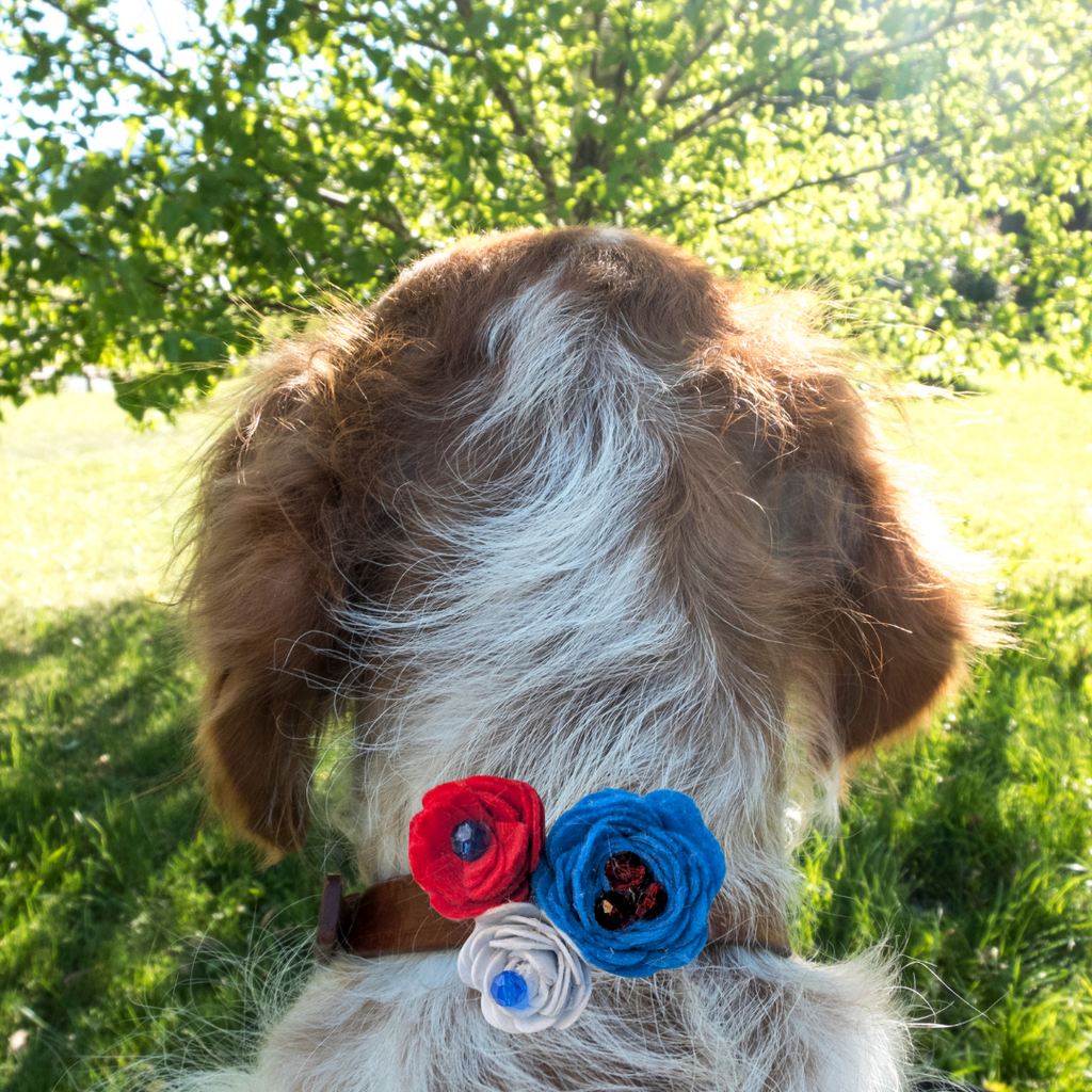 Sparky & Co Star Spangled Bow Collection Handmade Collar Charm
