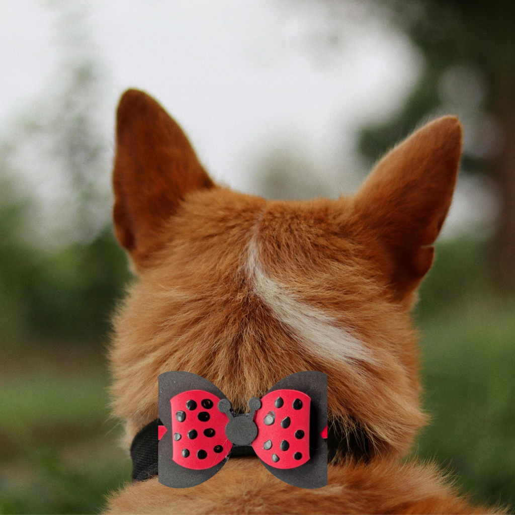 Ladybug Spring Collection Handmade Collar Charm