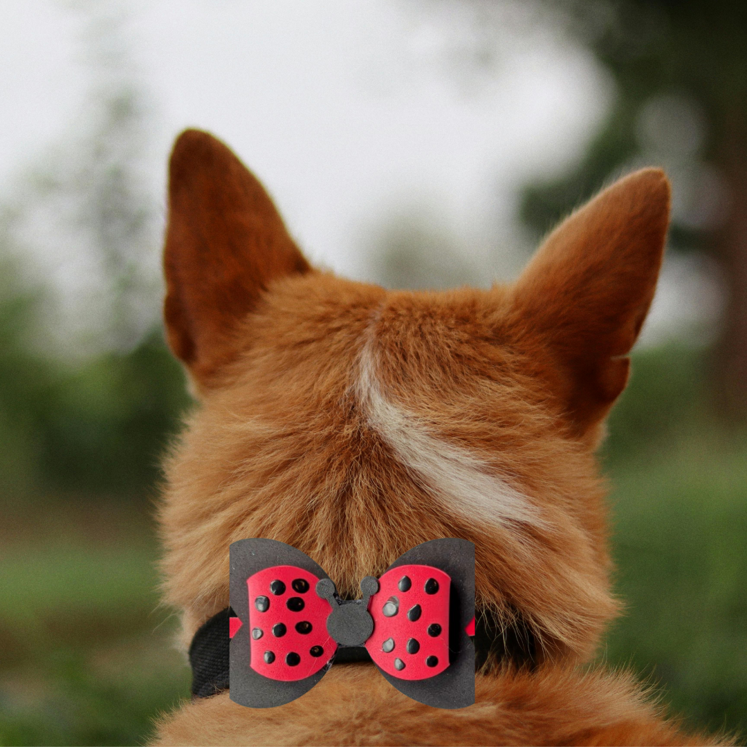 Ladybug Spring Collection Handmade Collar Charm