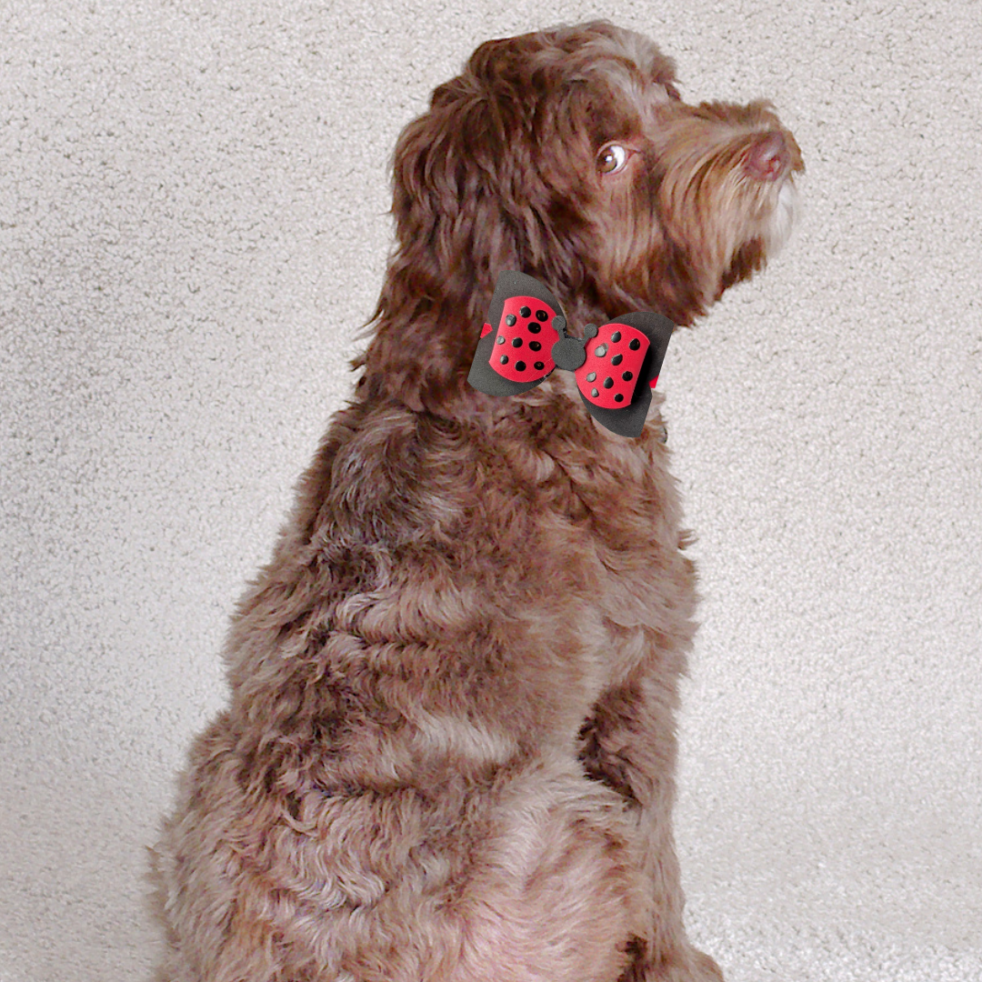 Ladybug Spring Collection Handmade Collar Charm