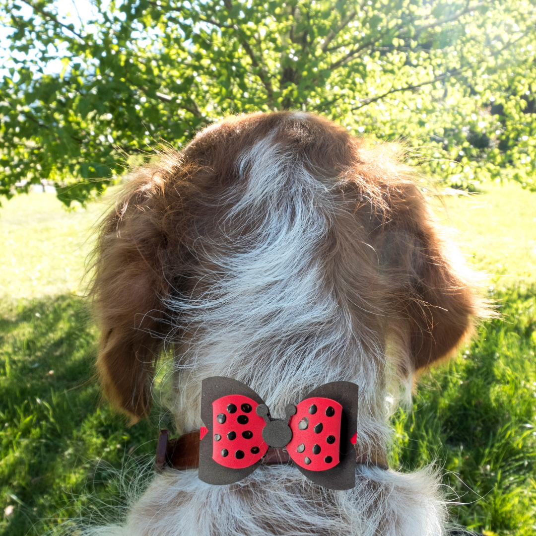 Ladybug Spring Collection Handmade Collar Charm
