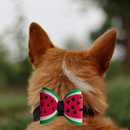 Watermelon Summer Collection Handmade Collar Charm