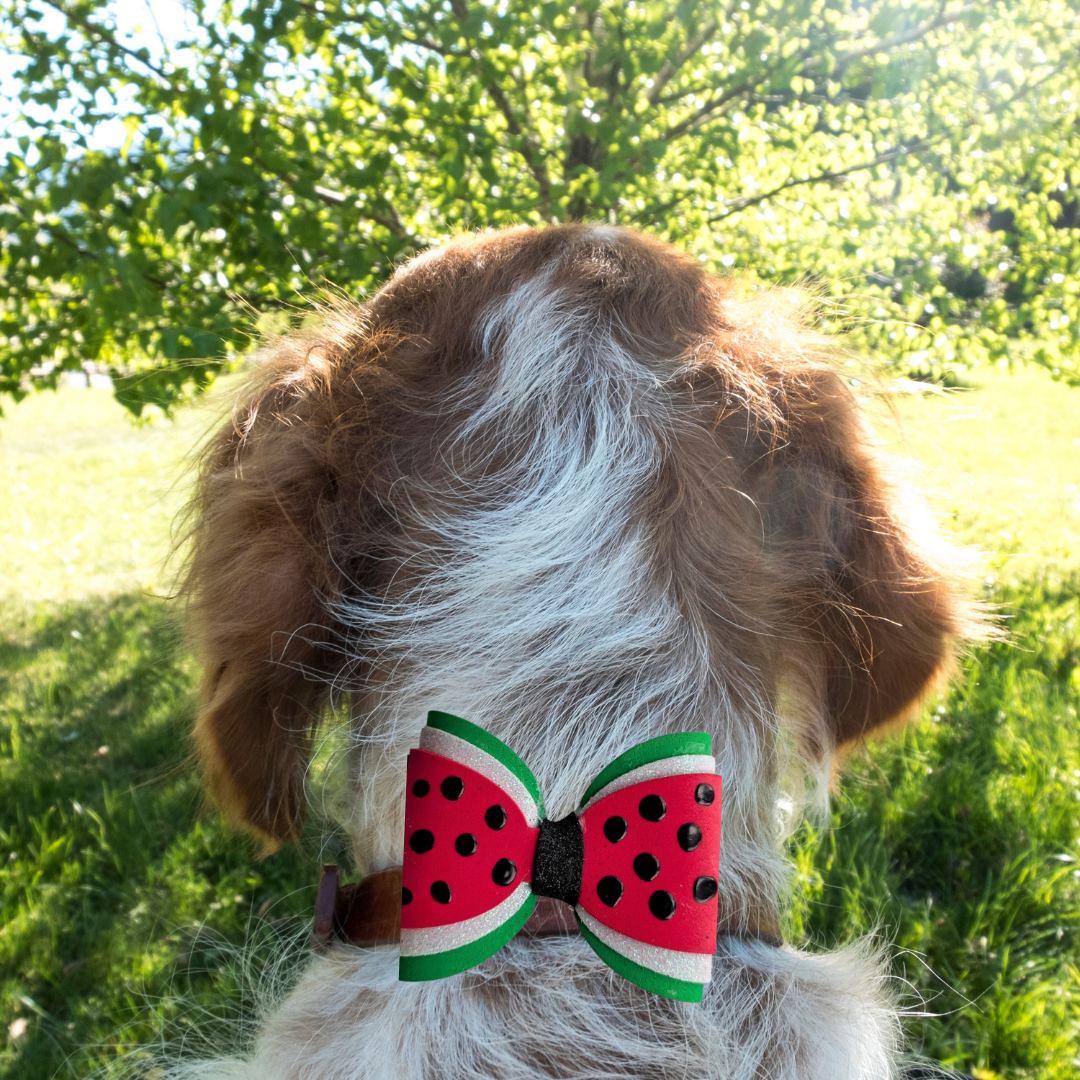 Watermelon Summer Collection Handmade Collar Charm
