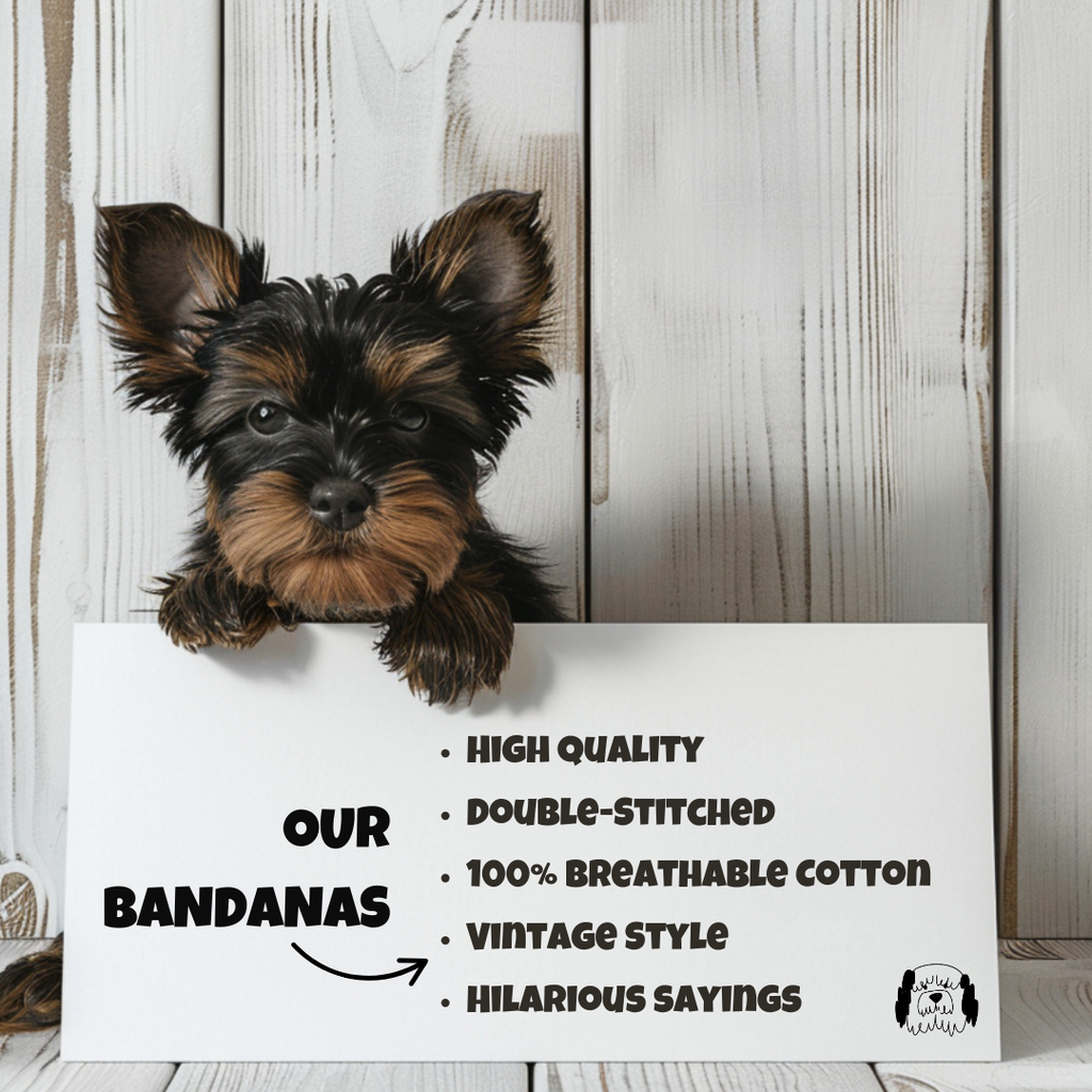 Sparky & Co Vintage Graphic Pet Bandana
