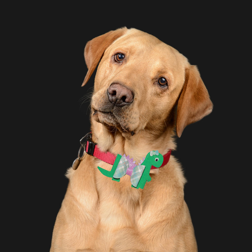 Bronto Bow Handmade Spring Collection Collar Charm