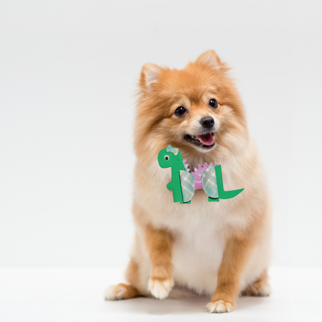 Bronto Bow Handmade Spring Collection Collar Charm