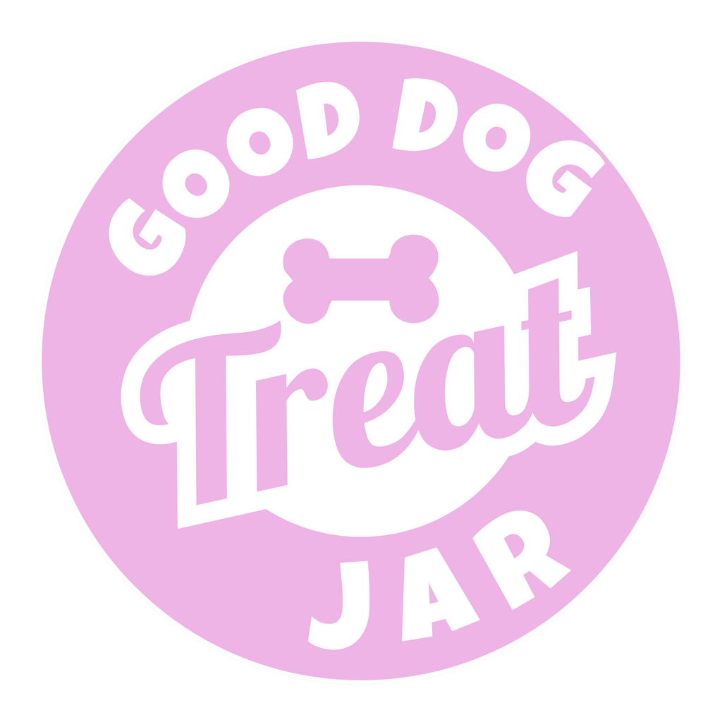 Sparky & Co Good Dog 58oz Cylinder Glass Treat Canister With Metal Screw-Top Lid