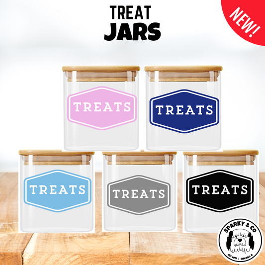 Squared Glass "TREATS" Canister With Bamboo Lid