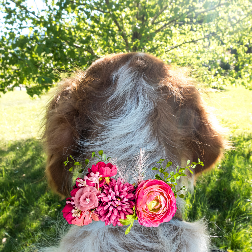 Sparky & Co Garden Party Collection Collar Flower Corsage Accessory