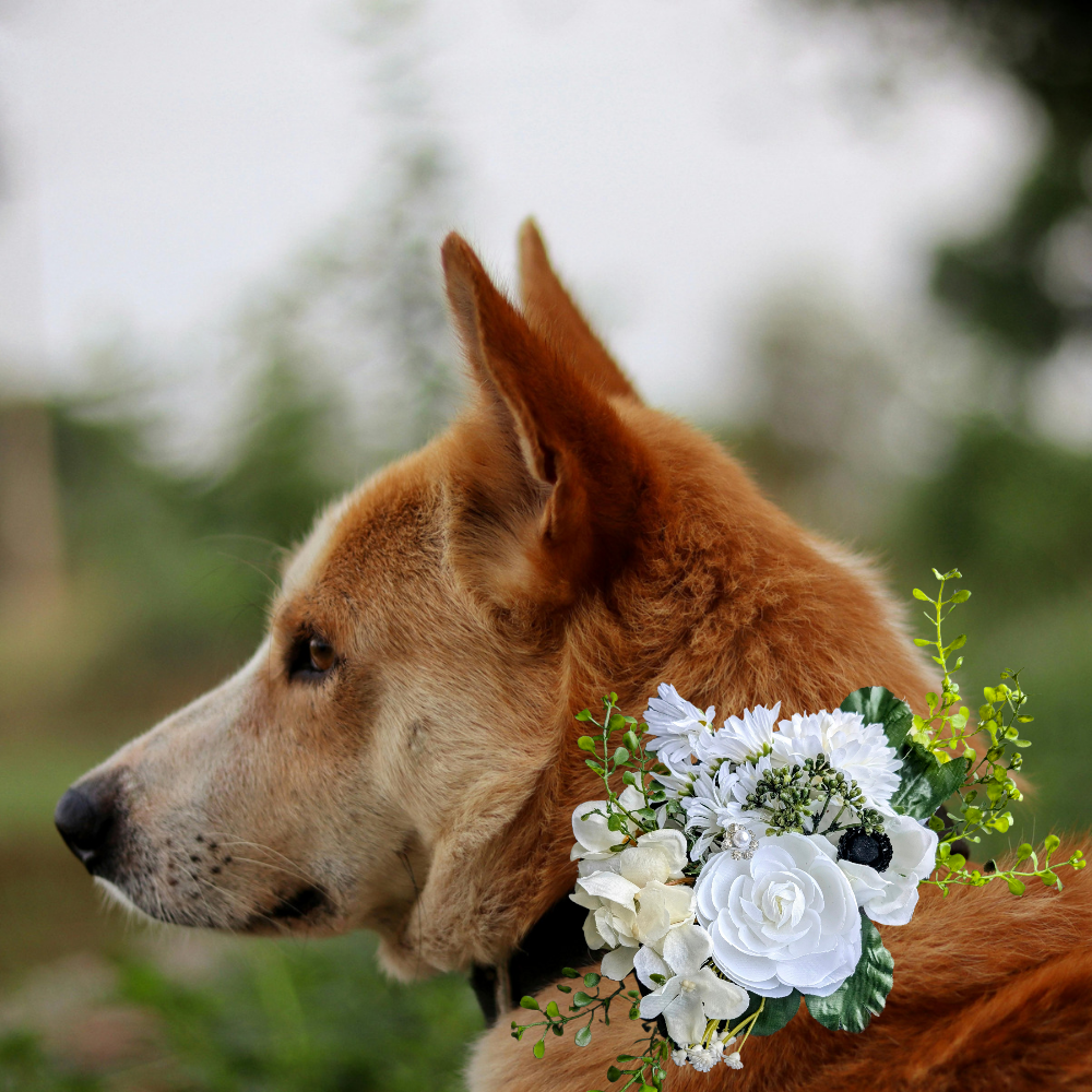 Sparky & Co Garden Party Collection Collar Flower Corsage Accessory