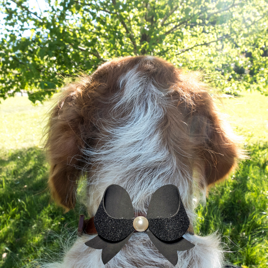 Sparky & Co Black Tie Collar Bow Accessory Collection