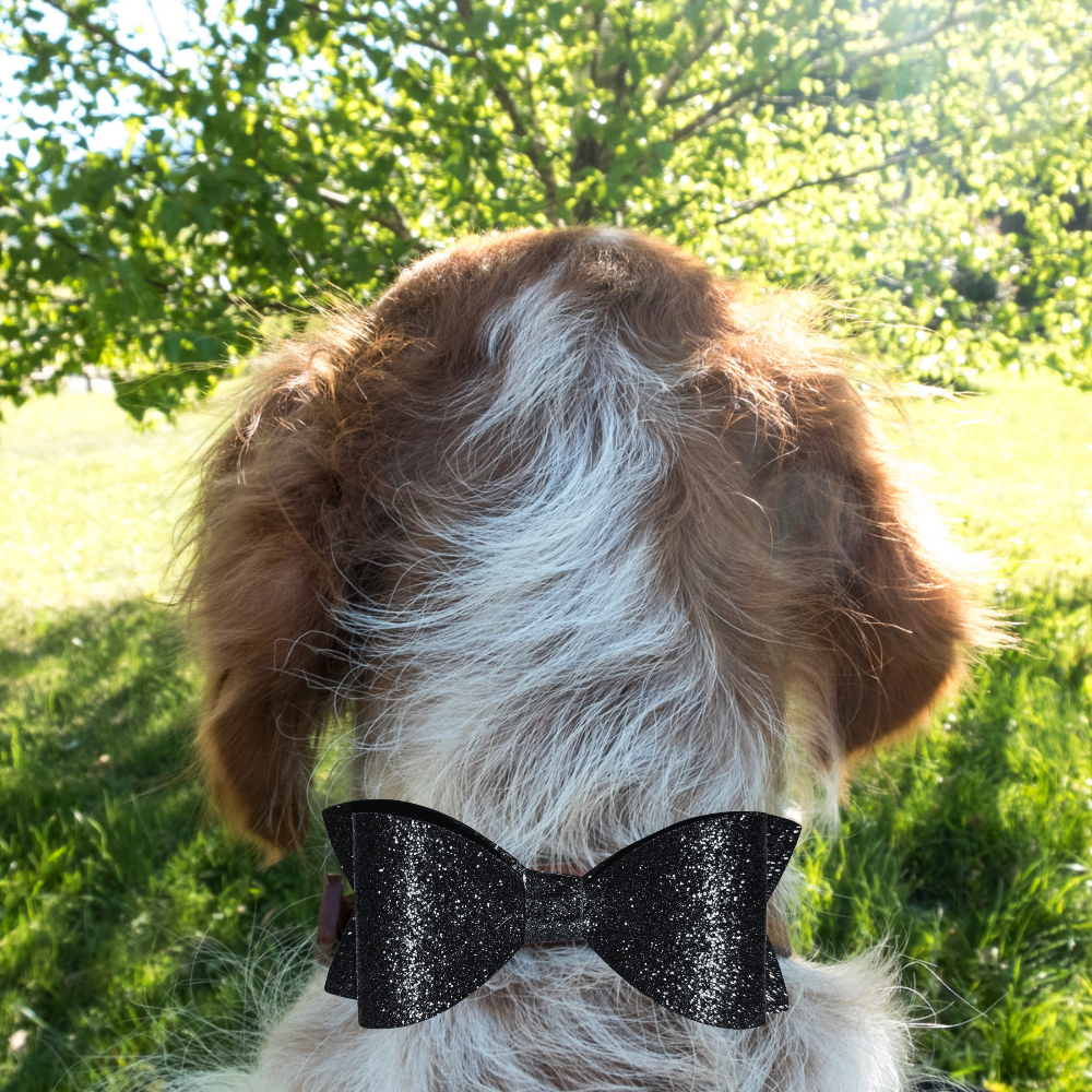 Sparky & Co Black Tie Collar Bow Accessory Collection