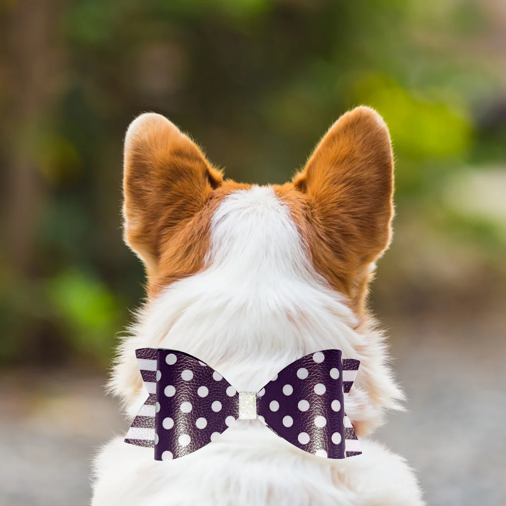 Sparky & Co Black Tie Collar Bow Accessory Collection