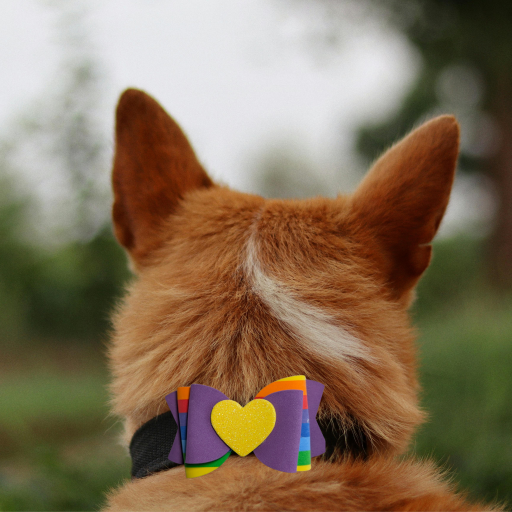 Sparky & Co Rainbow Pride Bow Collection Handmade Collar Charm